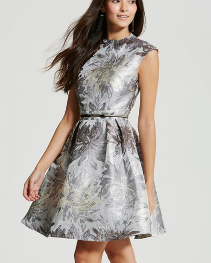Silver Jacquard Skater Dress