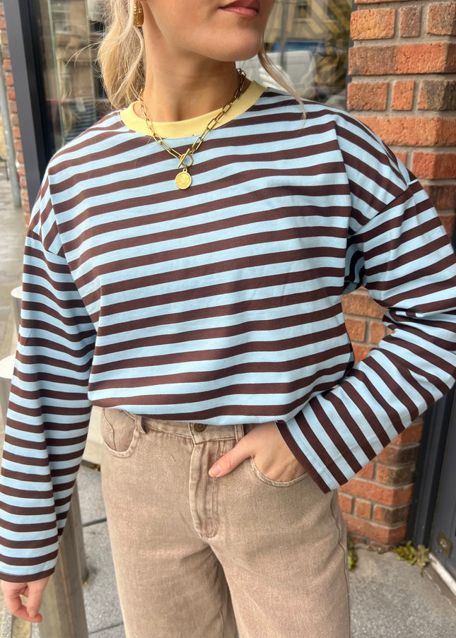 Oversized Striped Long Sleeve Top - Sky Blue/Brown
