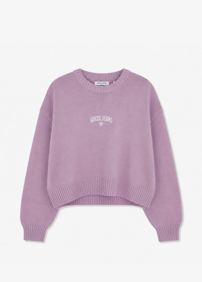Guess Jeans Embroidered Logo Knit - Lilac