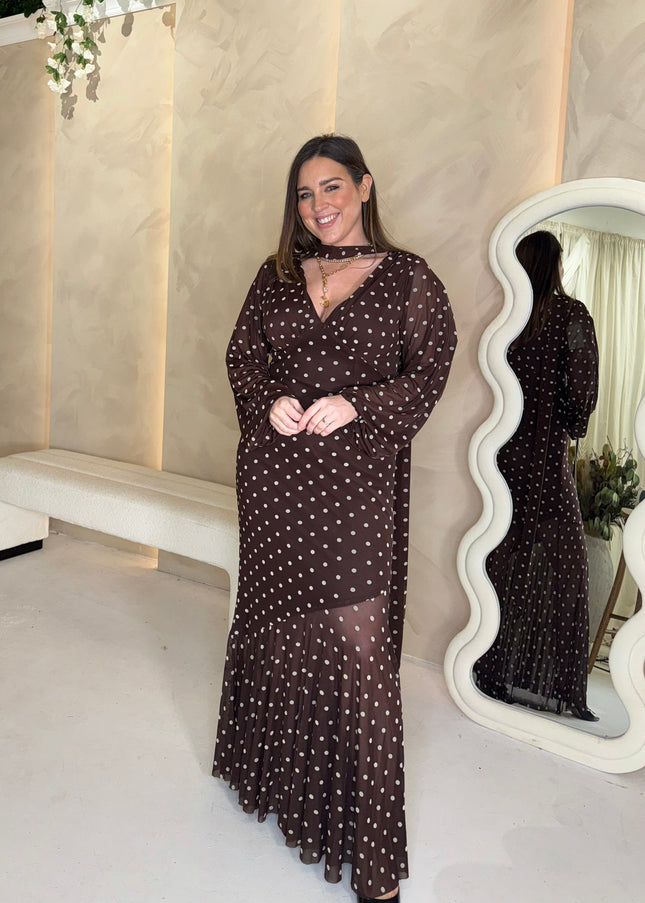 Petula Scarf Mesh Maxi Dress - Brown and Cream Polka Dot