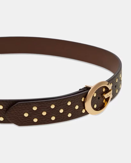 Guess Camden Stud Belt - Espresso
