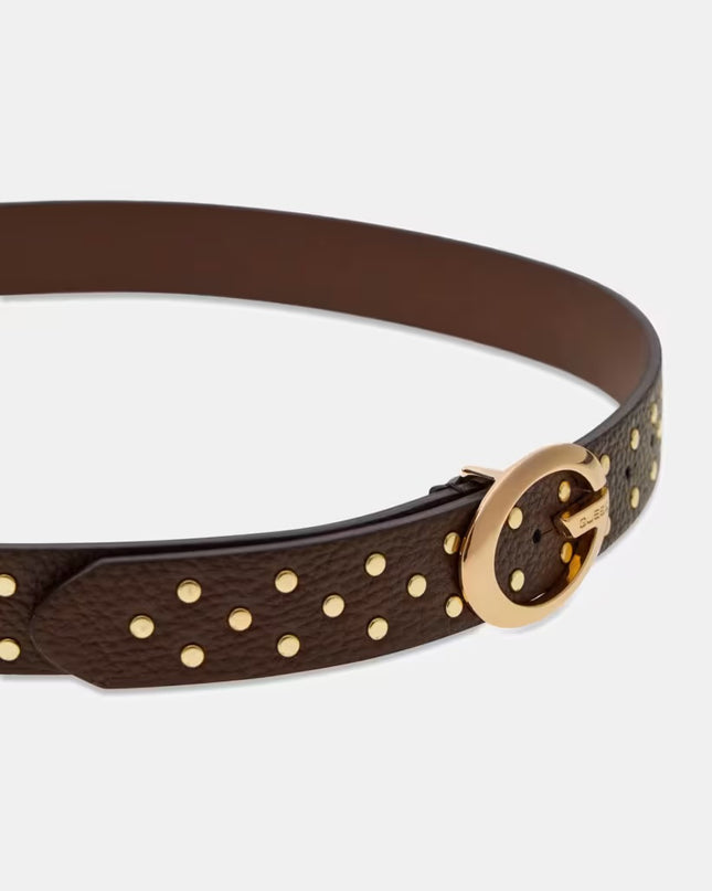 Guess Camden Stud Belt - Espresso