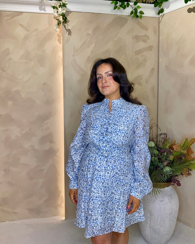 Guess Adelaide Long Sleeve Flare Dress - Light Blue Floral