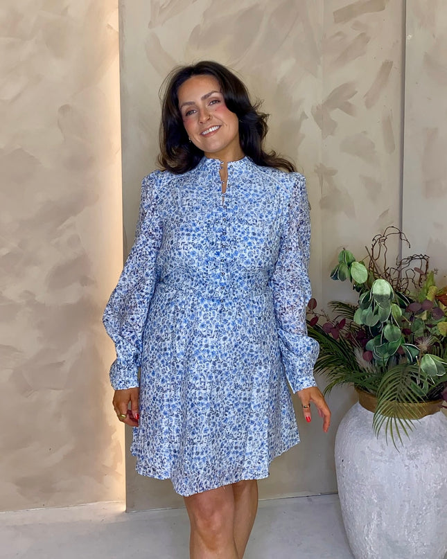 Guess Adelaide Long Sleeve Flare Dress - Light Blue Floral