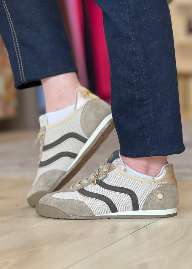 Mesh Metallic Sneaker - Beige/Black