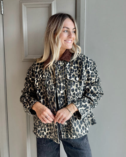 Cord Collar Barn Jacket - Leopard
