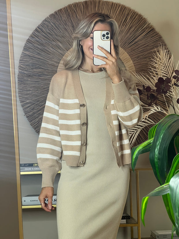 Guess Mirelle Stripe Cardigan - Foamy Taupe