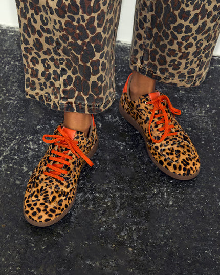 Leopard Pony Trainer