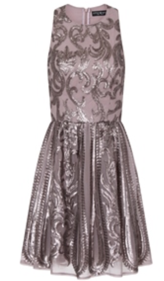 Mink Embellished Party Dress