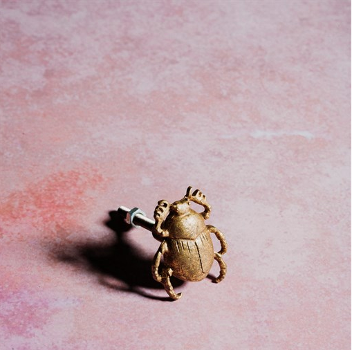 Gold Scarab Beetle Drawer Knob