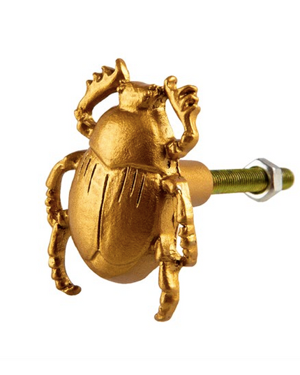 Gold Scarab Beetle Drawer Knob