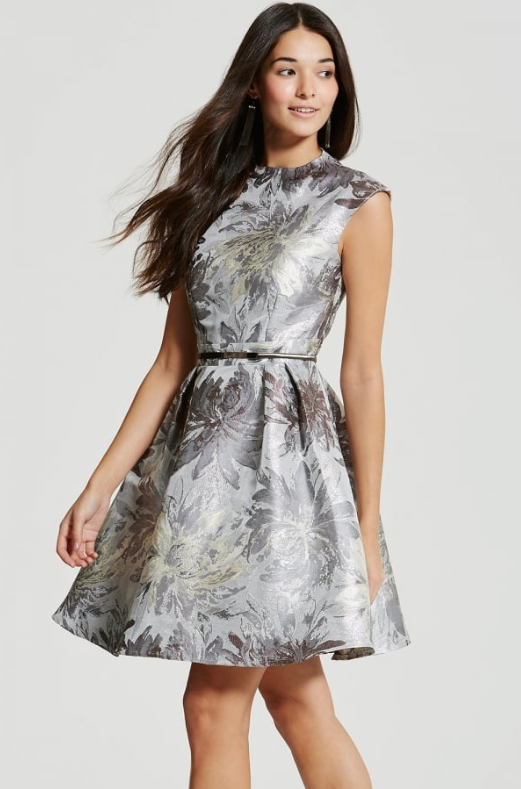 Silver Jacquard Skater Dress